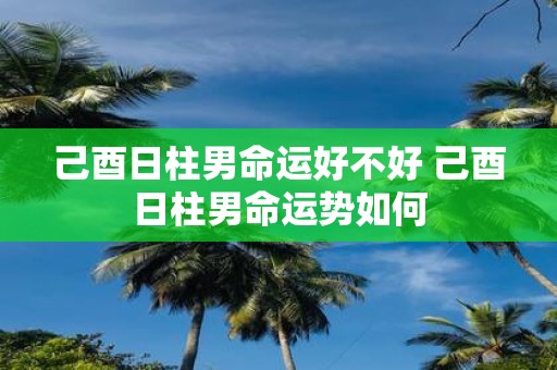 己酉日柱男命运好不好 己酉日柱男命运势如何