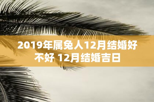 2019年属兔人12月结婚好不好 12月结婚吉日