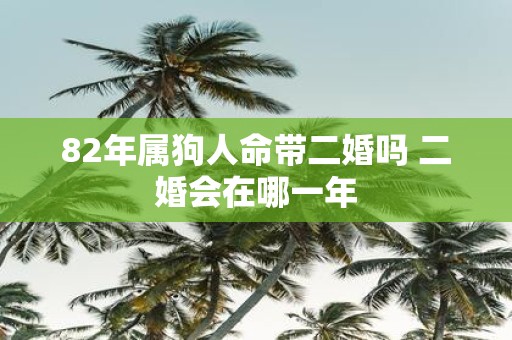 82年属狗人命带二婚吗 二婚会在哪一年