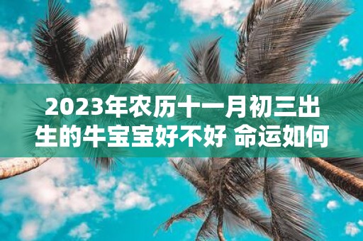 2025年农历十一月初三出生的牛宝宝好不好 命运如何