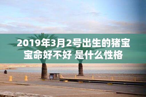 2019年3月2号出生的猪宝宝命好不好 是什么性格