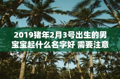 2019猪年2月3号出生的男宝宝起什么名字好 需要注意什么