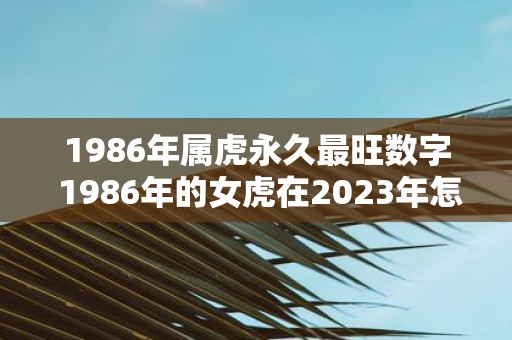 1986年属虎永久最旺数字 1986年的女虎在2025年怎么样