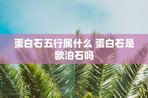 蛋白石五行属什么 蛋白石是欧泊石吗