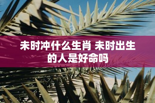 未时冲什么生肖 未时出生的人是好命吗