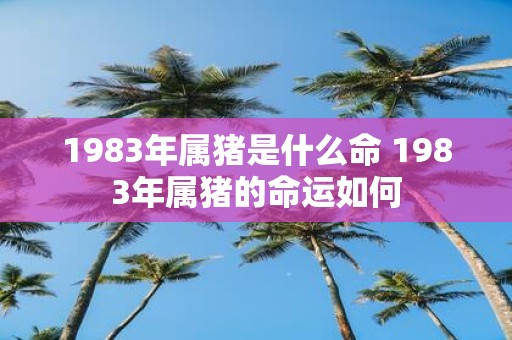 1983年属猪是什么命 1983年属猪的命运如何