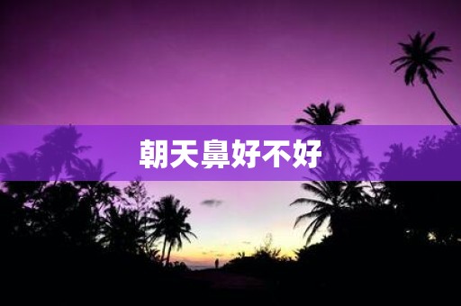 朝天鼻好不好