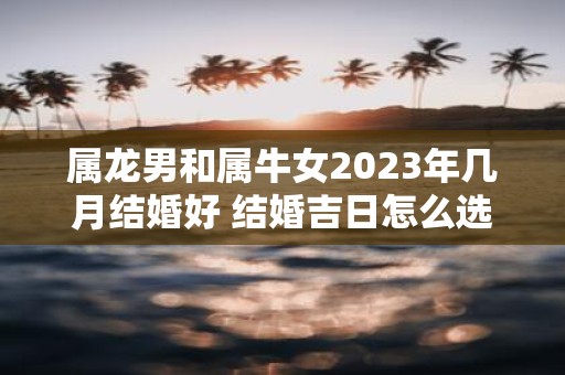 属龙男和属牛女2025年几月结婚好 结婚吉日怎么选