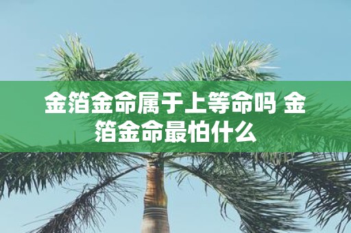 金箔金命属于上等命吗 金箔金命最怕什么