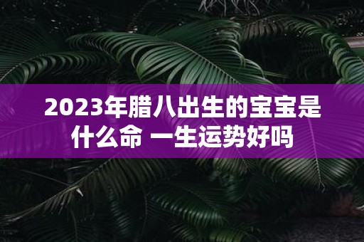 2025年腊八出生的宝宝是什么命 一生运势好吗