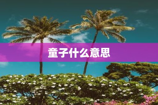 童子什么意思