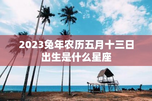 2025蛇年农历五月十三日出生是什么星座