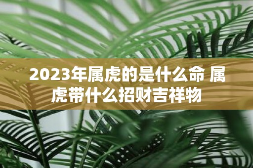 2025年属虎的是什么命 属虎带什么招财吉祥物