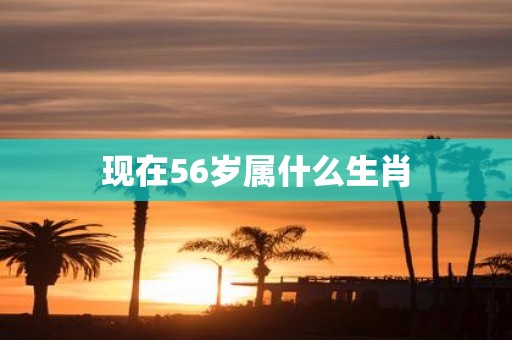 现在56岁属什么生肖