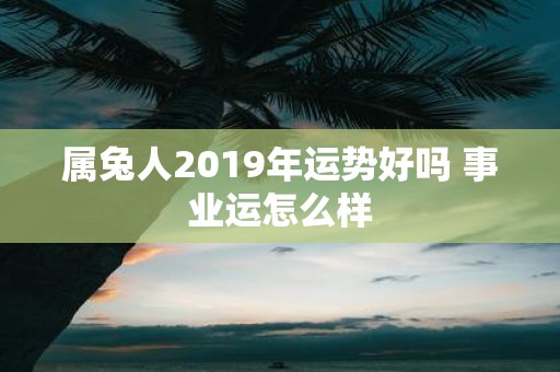 属兔人2019年运势好吗 事业运怎么样