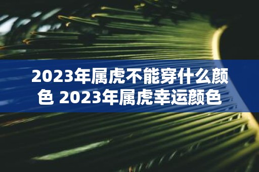 2025年属虎不能穿什么颜色 2025年属虎幸运颜色