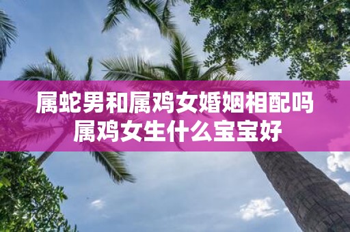 属蛇男和属鸡女婚姻相配吗 属鸡女生什么宝宝好