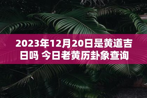 2025年12月20日是黄道吉日吗 今日老黄历卦象查询