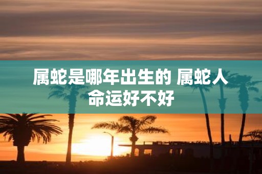 属蛇是哪年出生的 属蛇人命运好不好