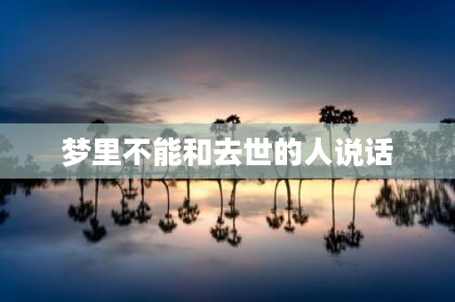 梦里不能和去世的人说话