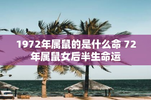 1972年属鼠的是什么命 72年属鼠女后半生命运