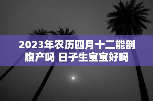 2025年农历四月十二能剖腹产吗 日子生宝宝好吗