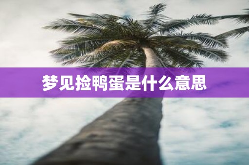 梦见捡鸭蛋是什么意思
