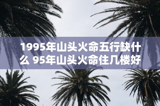 1995年山头火命五行缺什么 95年山头火命住几楼好