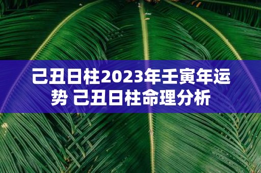 己丑日柱2025年壬寅年运势 己丑日柱命理分析