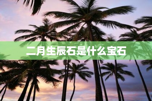 二月生辰石是什么宝石