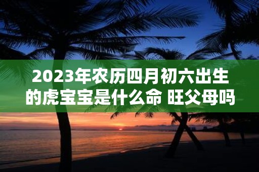2025年农历四月初六出生的虎宝宝是什么命 旺父母吗