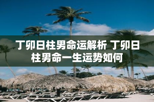 丁卯日柱男命运解析 丁卯日柱男命一生运势如何