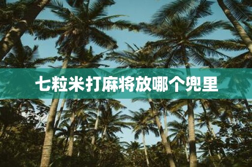 七粒米打麻将放哪个兜里