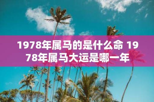 1978年属马的是什么命 1978年属马大运是哪一年