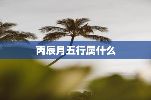 丙辰月五行属什么