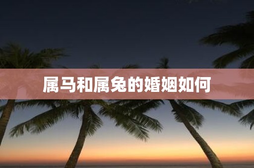 属马和属兔的婚姻如何