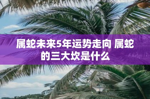 属蛇未来5年运势走向 属蛇的三大坎是什么