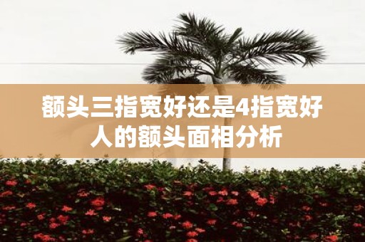 额头三指宽好还是4指宽好 人的额头面相分析