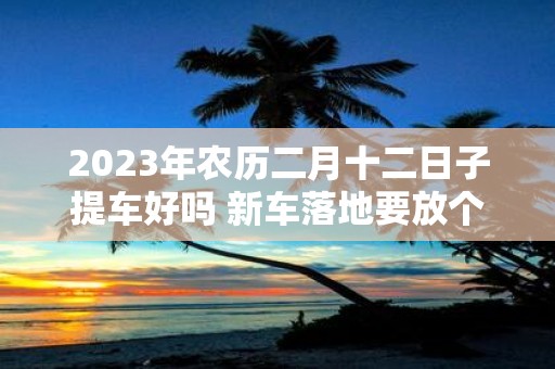 2025年农历二月十二日子提车好吗 新车落地要放个红包放在哪