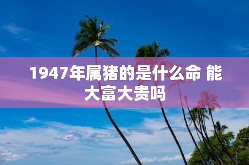 1947年属猪的是什么命 能大富大贵吗
