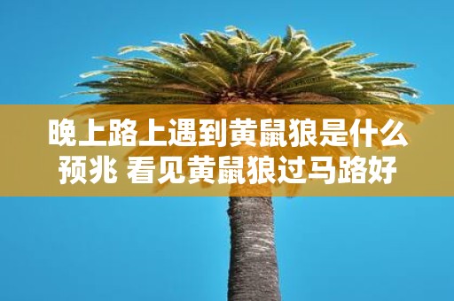 晚上路上遇到黄鼠狼是什么预兆 看见黄鼠狼过马路好不好