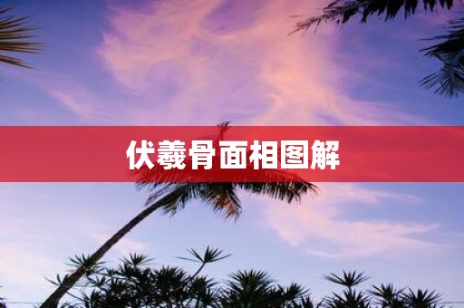 伏羲骨面相图解