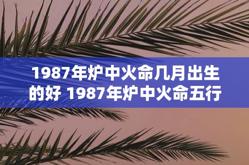 1987年炉中火命几月出生的好 1987年炉中火命五行缺什么