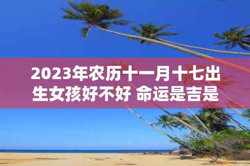 2025年农历十一月十七出生女孩好不好 命运是吉是凶