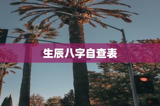生辰八字自查表