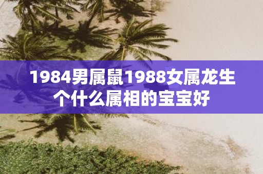 1984男属鼠1988女属龙生个什么属相的宝宝好