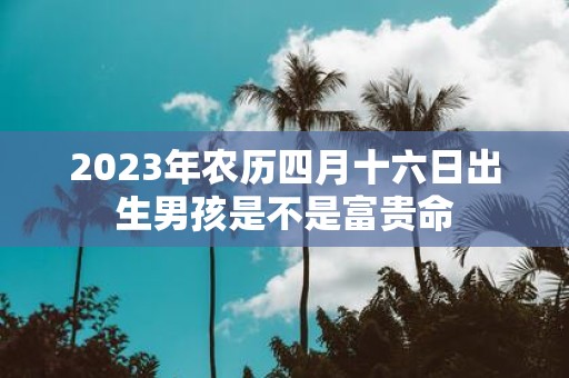 2025年农历四月十六日出生男孩是不是富贵命