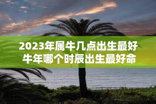 2025年属牛几点出生最好 牛年哪个时辰出生最好命
