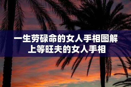 一生劳碌命的女人手相图解 上等旺夫的女人手相