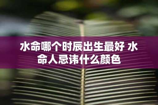 水命哪个时辰出生最好 水命人忌讳什么颜色